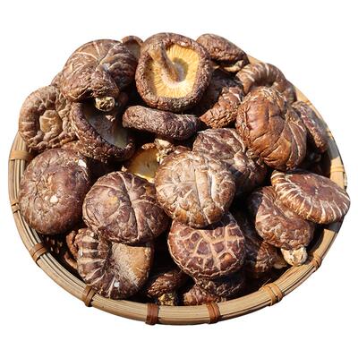 粤北韶关特产丹霞山非椴树香菇