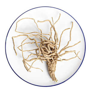 丝瓜根新鲜晒干老干丝瓜络根丝瓜藤菜丝瓜根水瓜根部主根新品无硫