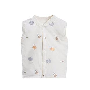 婴儿马甲小月龄春秋薄棉夹棉保暖新生儿婴幼儿宝宝背心坎肩内外穿