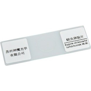 SAGA萨伽生物光学显微镜配件小学生高清观察标本切片套装动物植物细胞样本玻璃载玻片儿童科学学生实验可定制