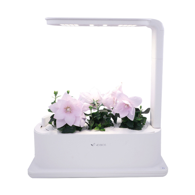 四维生态智能室内养植盆栽花瓶