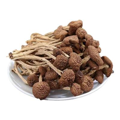 菌裕茶树菇干货甄选不开伞不切根新货菌菇农家自产特产官方旗舰店
