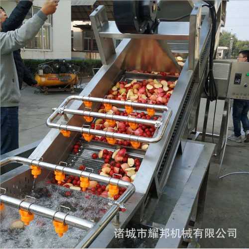 全自动水果清洗风干流水线 瓜果清洗机 水果清洗设备
