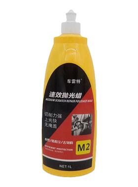 水培植物米竹室i内盆栽小型凤尾竹盆景桌面绿植微盆景竹子苗观赏