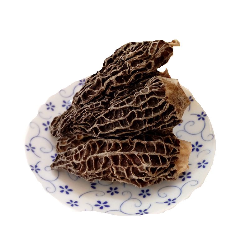 现货纯野生新鲜羊肚菌500克上市