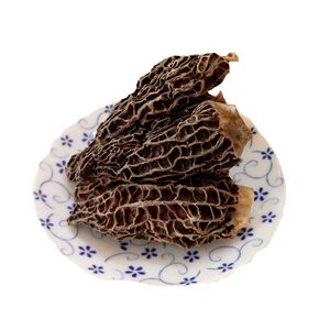 现货纯野生新鲜羊肚菌500克上市