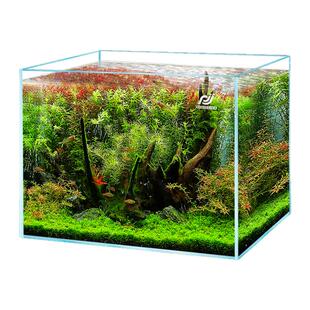 超白鱼缸乌龟缸玻璃桌面客厅生态斗鱼金鱼小型水草造景养鱼玻璃缸