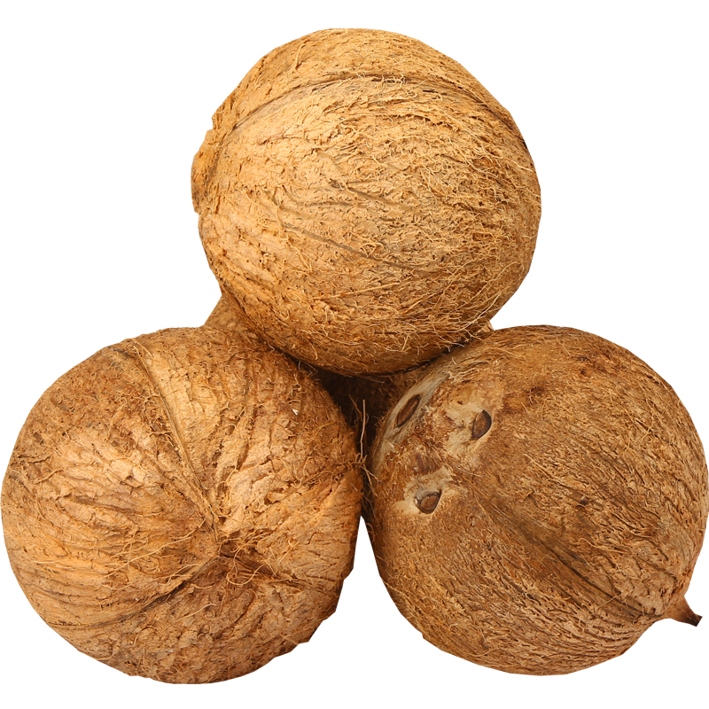 5个装海南新鲜老椰子去皮毛椰