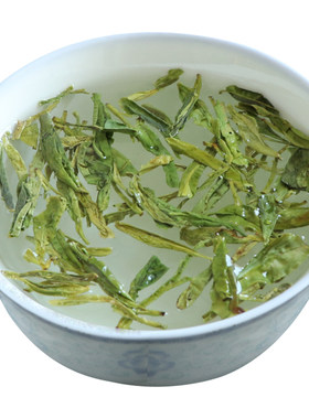 乌牛早茶永嘉明前袋装龙井茶叶