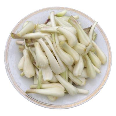 重庆藠头新鲜现挖小茭头半叶带须小荞头腌制炒肉应季菜四川教头