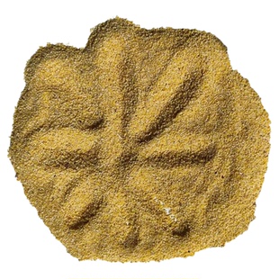 喂鸟碎小米鸟食碎米鸟粮无壳谷子黄米喂麻雀酿酒喂鸡鸭鹅饲料布施