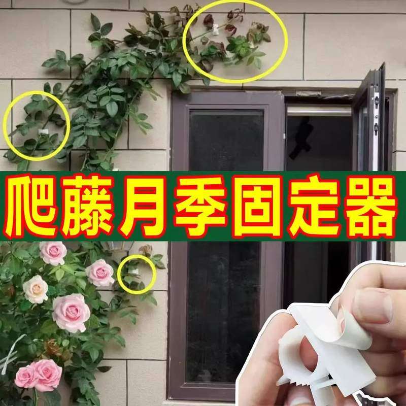 绿植爬藤固定器园艺花墙月季蔷薇花枝绿萝爬墙牵引攀爬黏贴卡扣夹