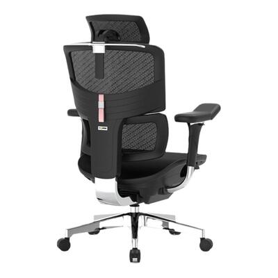 电脑椅Ergomax多功能调节