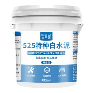 蹲便器填缝剂卫生间瓷砖缝隙防水厕所地漏专用密封堵漏速干白水泥