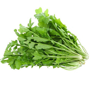 野生荠菜野菜新鲜荠荠菜1-4斤现挖白花荠菜应季地丁菜饺子馅包邮