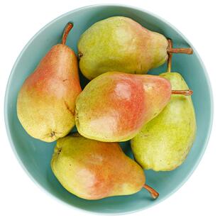 太婆梨子新鲜香蕉梨水果梨当季山东烟台大头梨老妈子梨整箱包邮