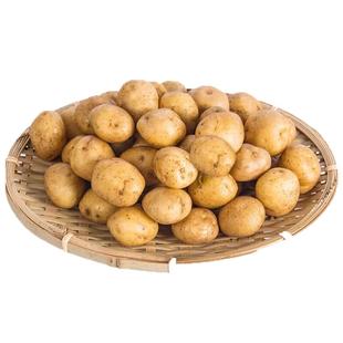 【槿馐】迷你小土豆500g农家黄心土豆新鲜蔬菜马铃薯小洋山芋