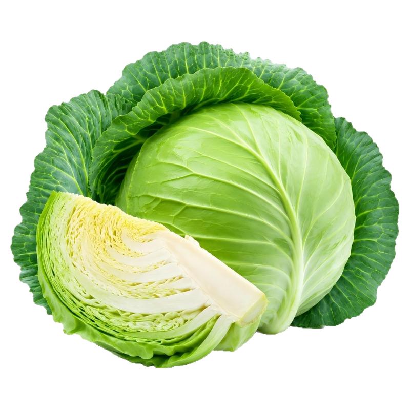京丰一号中熟特大包心甘蓝种子