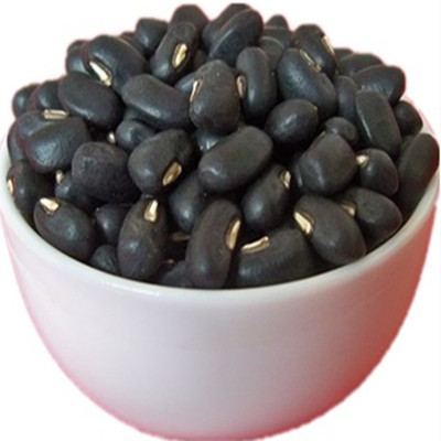 新豆正宗广西马山肾形又名黑豆
