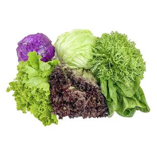 沙拉蔬菜组合4斤 新鲜混合蔬果生菜色拉健身轻食套餐西餐沙拉食材
