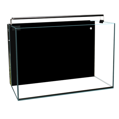 家用超白背虑鱼缸懒人免换水