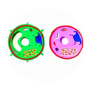 生物真核细胞模型初高中手工动物植物材料包成品DNA双螺旋结构模