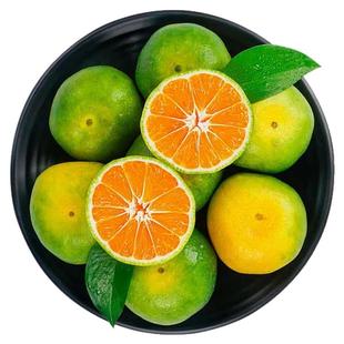 新鲜现摘石门柑橘秀坪蜜橘青皮桔子薄皮酸甜无籽蜜桔孕妇酸甜柑橘