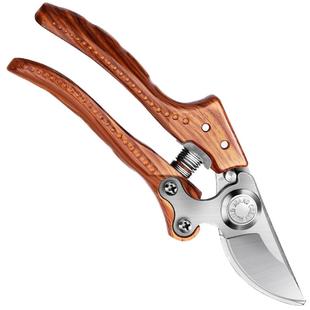 花剪园林园艺大剪刀修枝剪树枝剪刀剪子果树摘菜茶叶水果神器省力