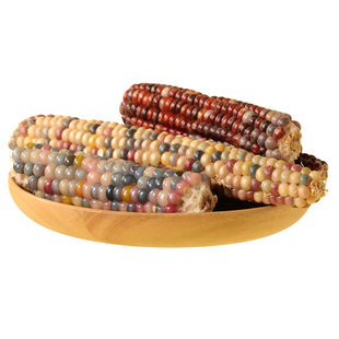 小农山鹦鹉零食玉米磨牙棒小鸟啃咬玩具解闷自嗨虎皮牡丹玄凤专用