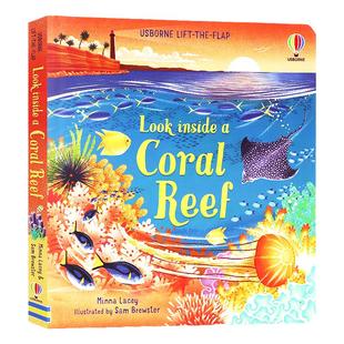 Usborne出品 看里面系列 珊瑚礁 英文原版 Look Inside a Coral Reef 尤斯伯恩 幼儿科普百科儿童英语翻翻书 课外读物进口图书