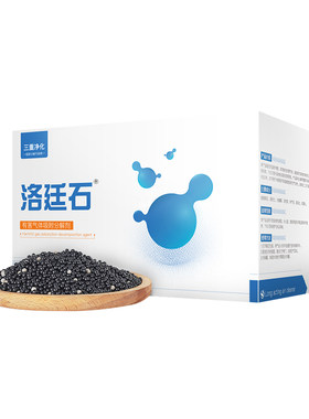 洛廷石新房新车除甲醛除味