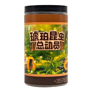 琥珀昆虫标本皂泥肥皂考古挖掘玩具挖宝寻宝无尘挖掘儿童云泥diy