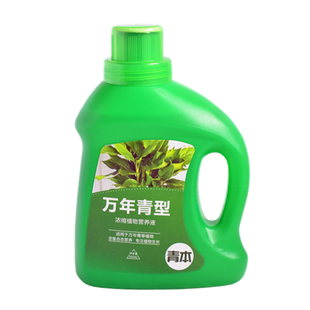 万年青专用肥营养液家用室内养花肥料盆栽通用型银皇后有机复合肥