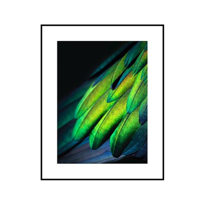 金属艺术装饰画大相框个性定制