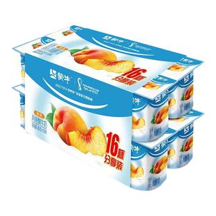 蒙牛低脂高钙风味酸奶8八连杯原味牛奶杯装90g*96杯营养早餐整箱