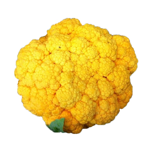 特色青梗松花菜种子绿紫黄宝塔花菜种籽花椰菜西兰花菜蔬菜种孑苗