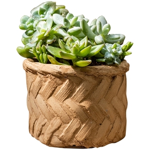 多肉花盆小号迷你小花盆水泥透气陶盆小盆栽家用阳台花园装饰花器