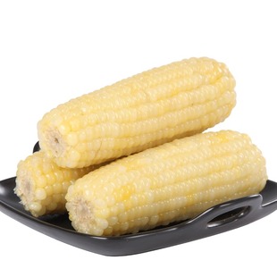 绿色有机张家口玉米小黄白甜糯玉米早餐粗粮代餐加热即食真空包装