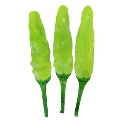 云南小米辣椒苗超辣南方种植盆栽