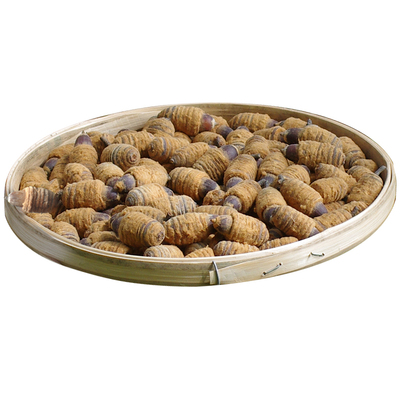 广西毛毛果狗鞭果产地直发男滋补