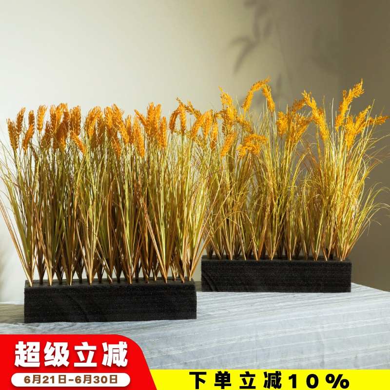 2025新款稻穗干花花束真水稻麦穗田园装饰五谷丰登拍摄道具稻谷花