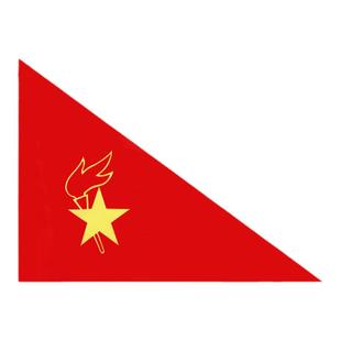 少先队队旗小队旗手持中国少年先锋队队旗手拿小学生少先队员队旗大队旗中队旗旗帜队旗中号50*30cm春亚纺