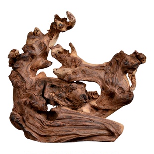 小号沉木珊瑚精品天然鱼缸造景免煮枯木树根杜鹃根紫柚水陆雨林缸