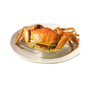 净重盘锦河蟹大闸蟹活蟹礼盒3.3-2.3母蟹螃蟹盘锦稻田蟹10只现货