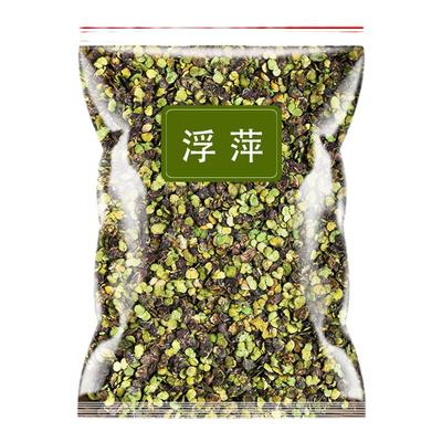 浮萍侧柏叶好品质低价格