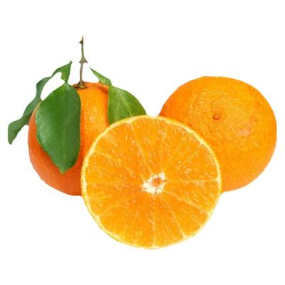 红美人柑橘新鲜桔子现摘爱媛28号