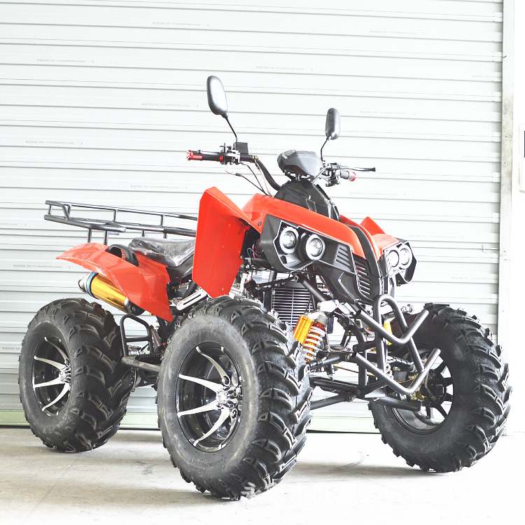 厂家出口产品250CC沙滩车  ATV 250CC全地形车 雪地摩托车卡丁车