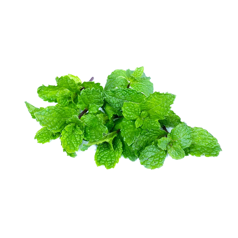 新鲜薄荷叶500g食用薄荷烘焙其它