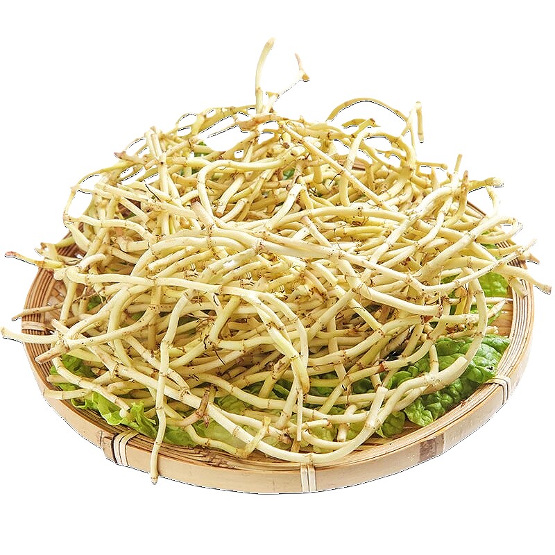 新鲜鱼腥草洗净不带泥脆嫩爽口