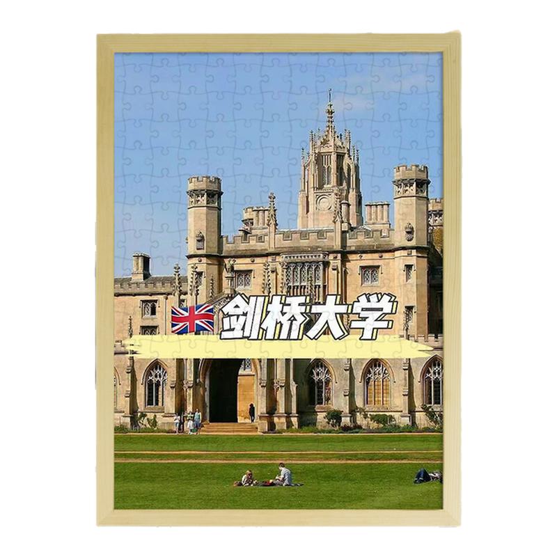 世界名牌大学拼图500片有框6至10岁以上儿童益智男宝女孩周岁礼物